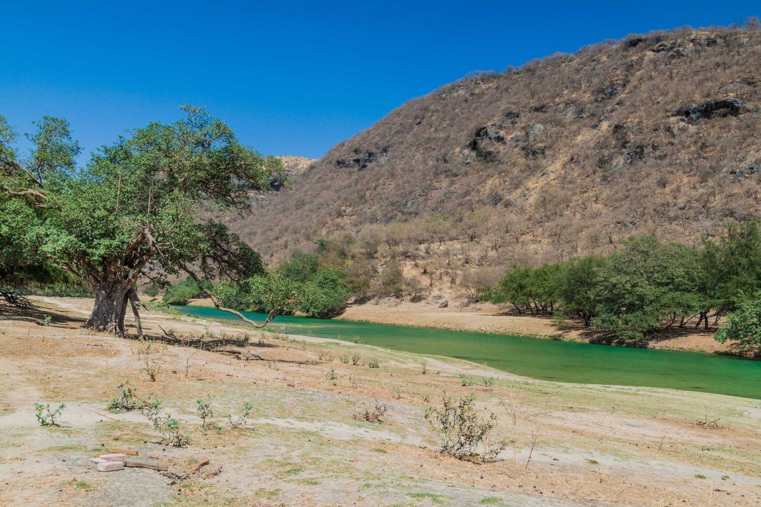Small Lake At Wadi Dharbat Near Salalah In Oman