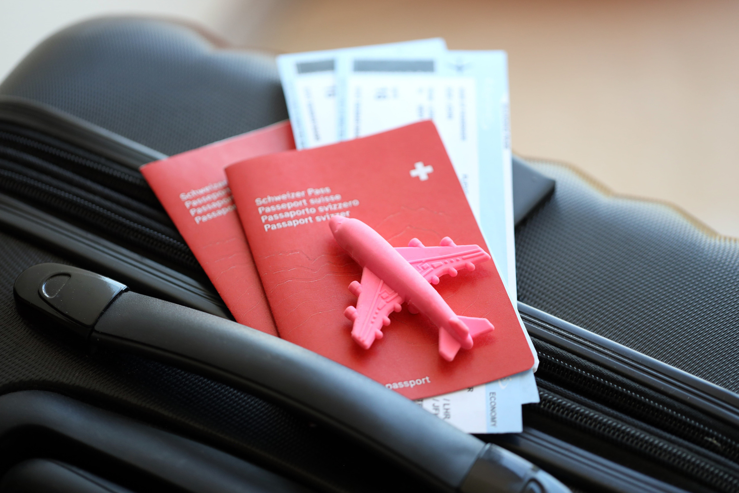 Swiss Passport Airline Tickets Travel Bag