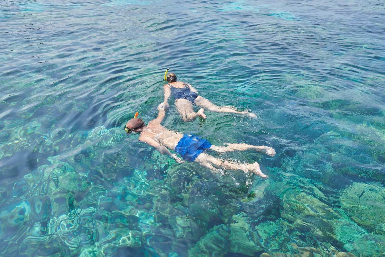 Tourists Snorkeling In Clear Blue Water