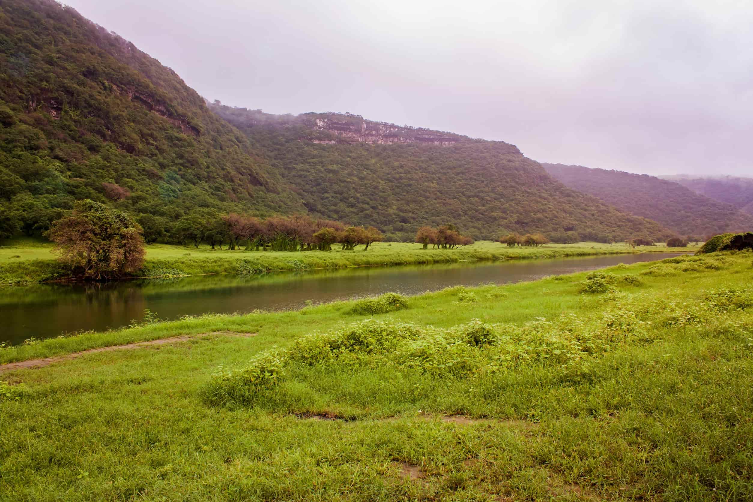 View at Wadi Darbat in Salalah, Oman