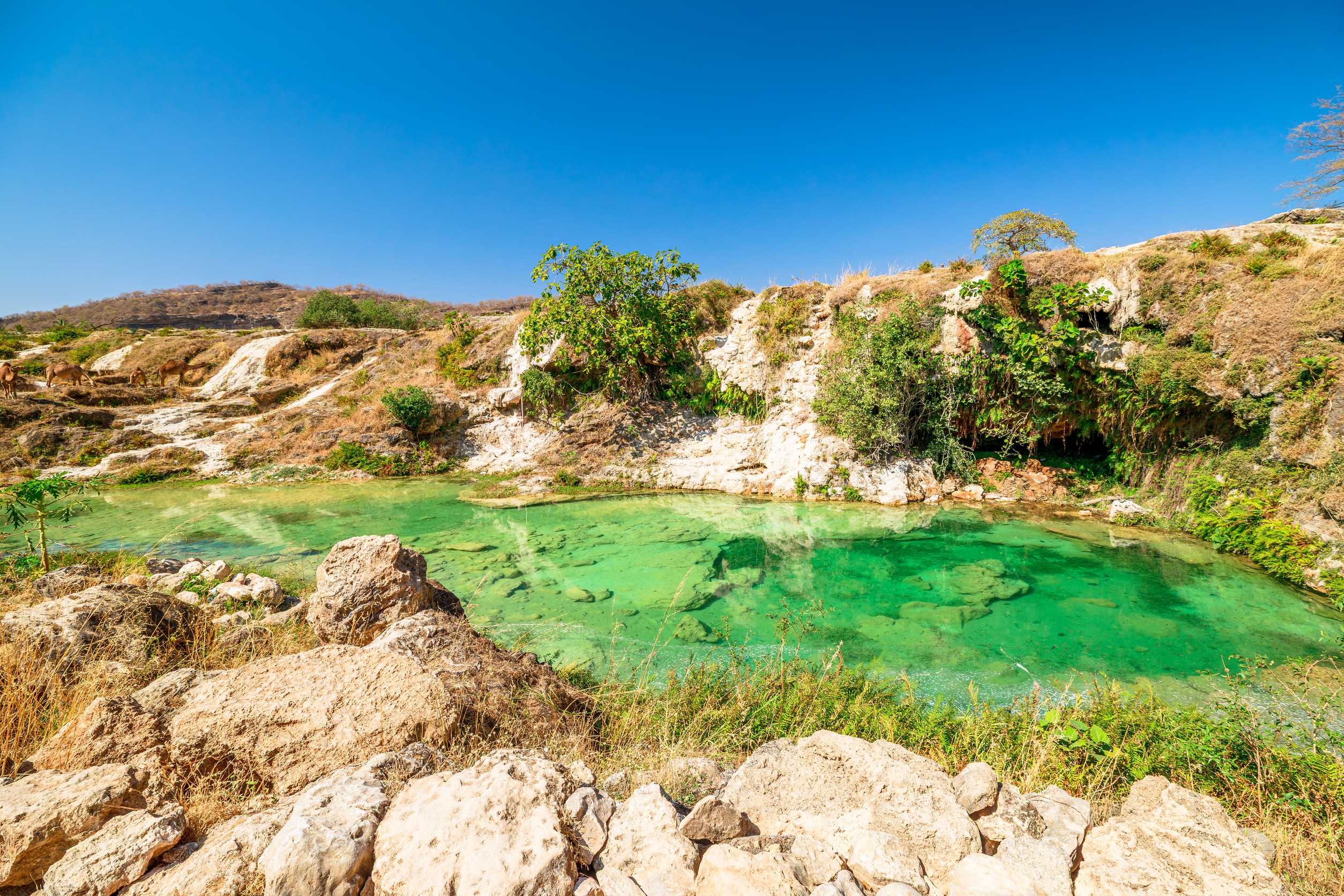 Wadi Darbat during Khareef season, Oman