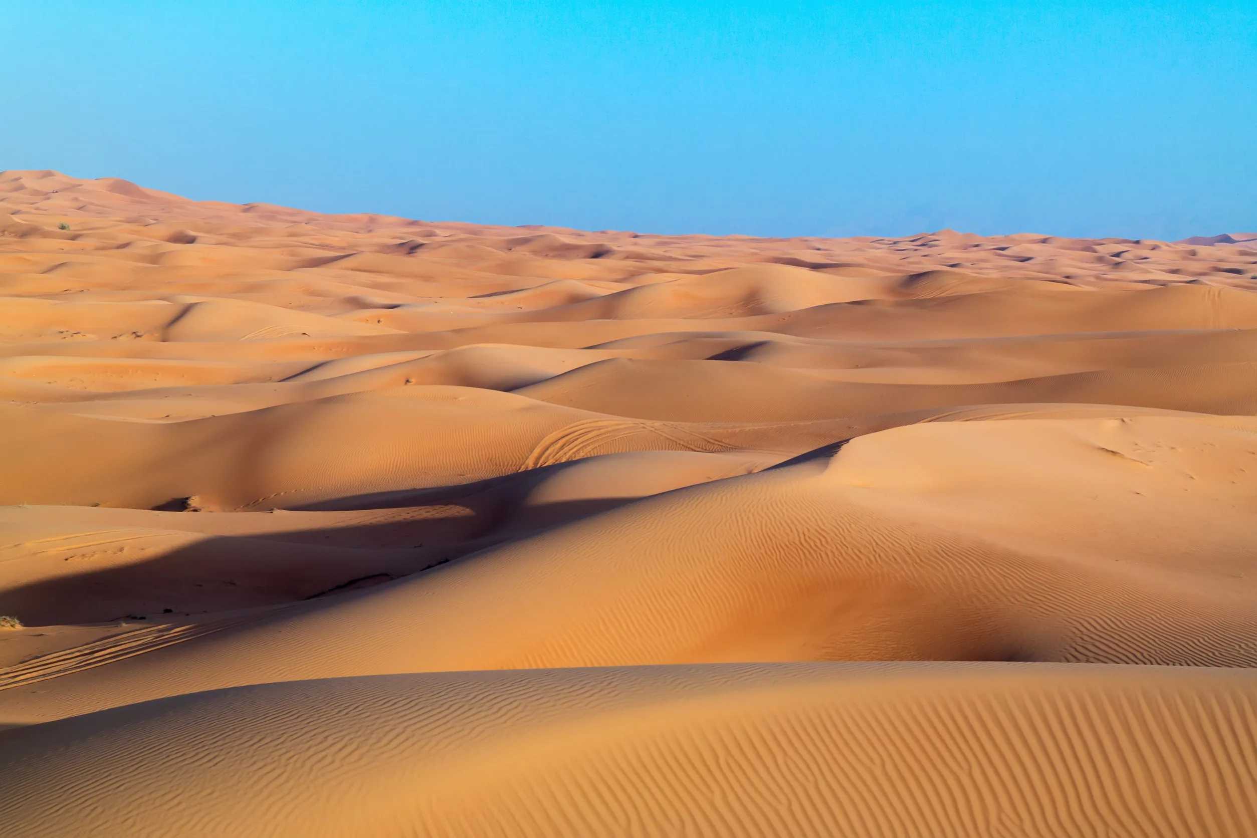 Wahiba Sands